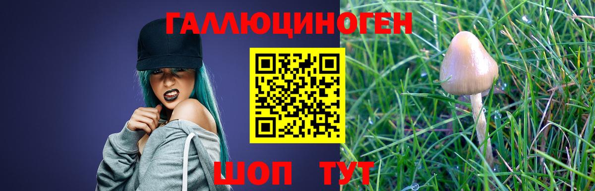 Псилоцибиновые грибы Magic Shrooms  Псилоцибиновые грибы Cubensis  Вход с VPN  Малгобек 